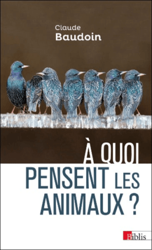 À quoi pensent les animaux ?