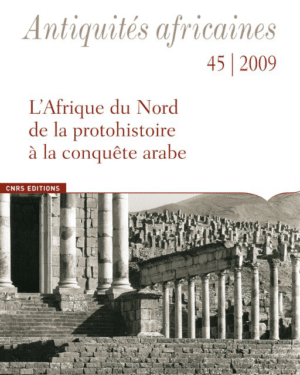 Antiquités africaines T 45