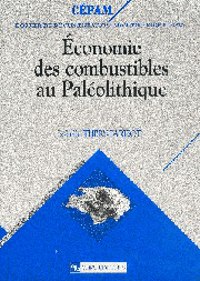 Économie des combustibles au Paléolithique