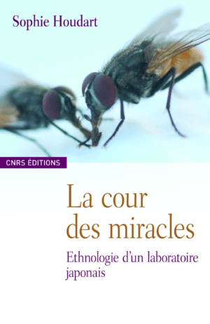 La cour des miracles