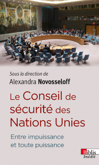 Le Conseil de sécurité des Nations Unies