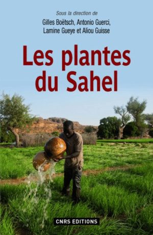 Les plantes du Sahel