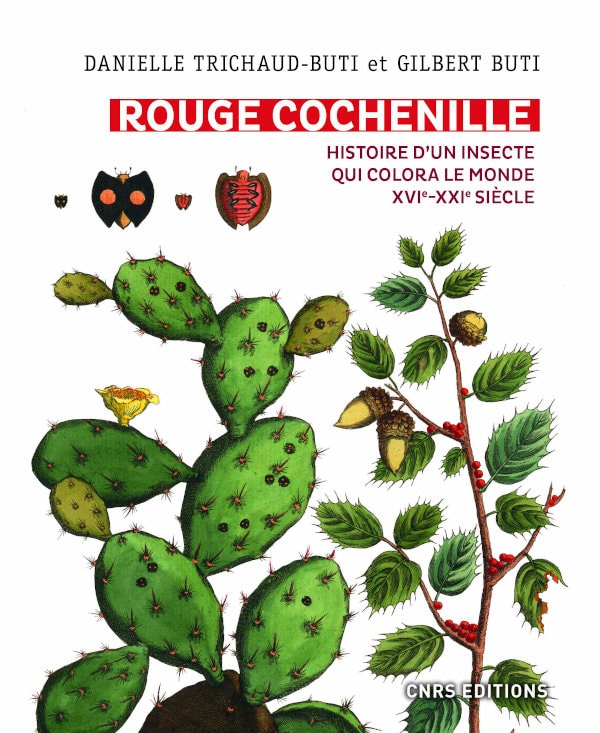 Rouge Cochenille - Histoire d'un insecte qui colora le monde XVIe